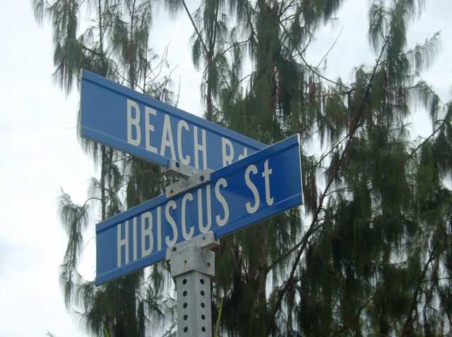 HIBISCUS St.