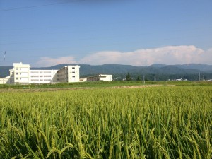 20130818-180907.jpg