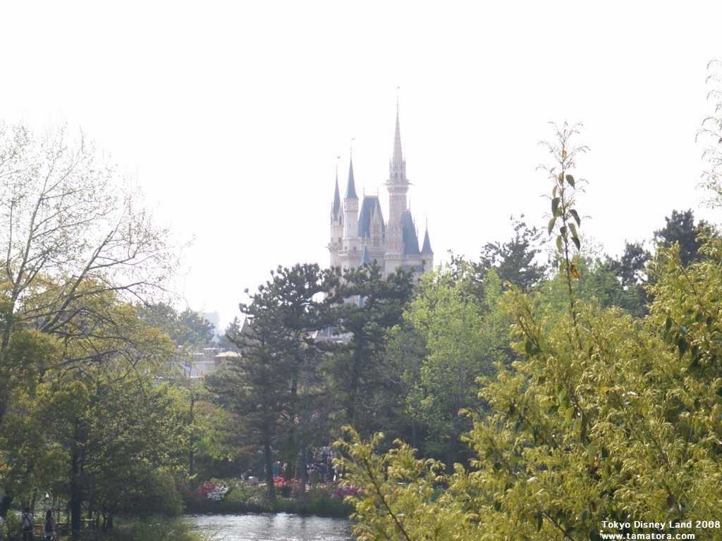 壁紙 東京ディズニーランド 08年4月 たまにはトラベラー